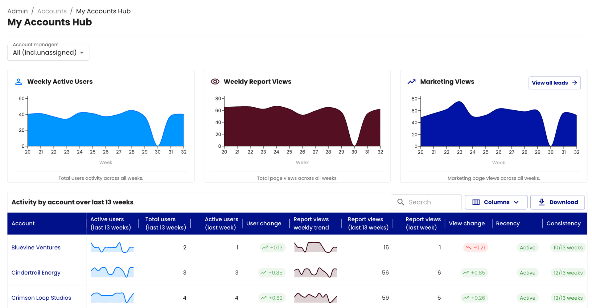 My Accounts Hub: weekly active users, report views, and marketing views charts, plus a per-account activity table