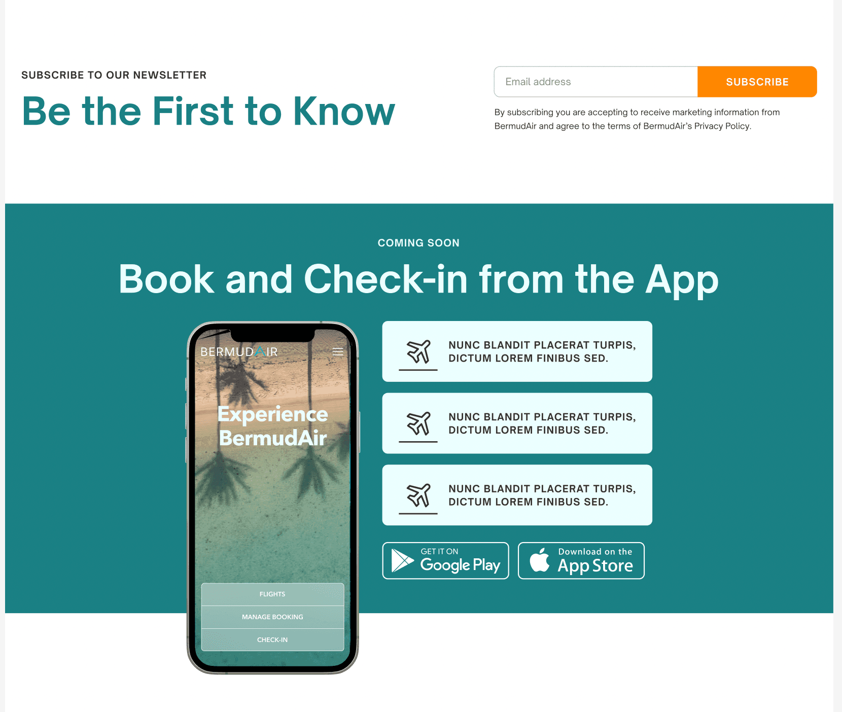 BermudAir newsletter signup and app download promo section